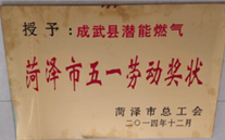 成武县尊龙凯时-人生就是搏燃气有限公司获得2014年度“菏泽市五一劳动奖状”及“菏泽市学习型组织标兵单位”称号